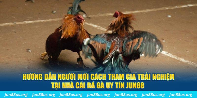 go88 live CQ9 Điện Tử
