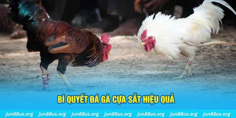 go88 live xin 1 slot là gì