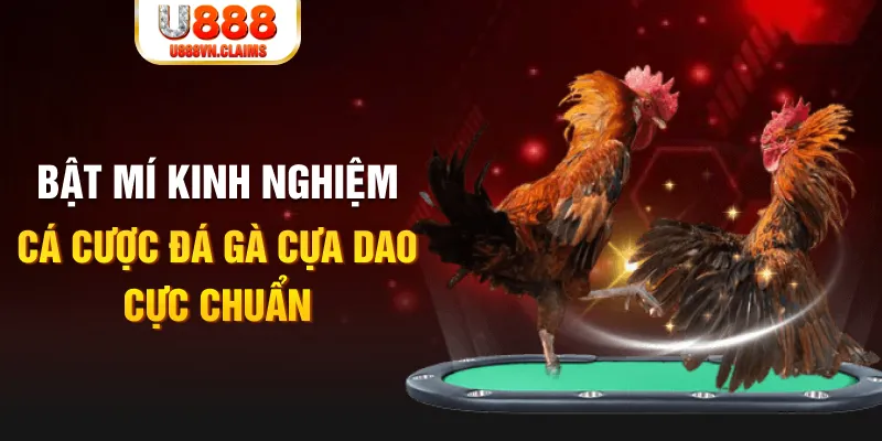 go88 live tỷ lệ cá cược châu á là gì