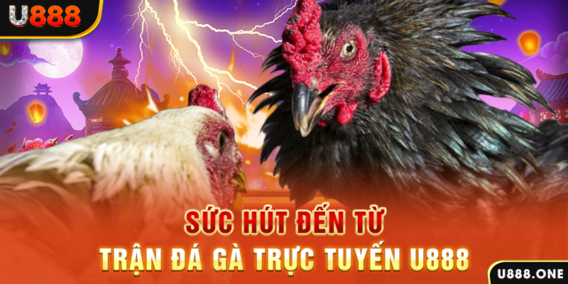 go88 live nổ hũ b29 là gì