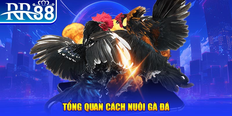 go88 live VA Điện Tử