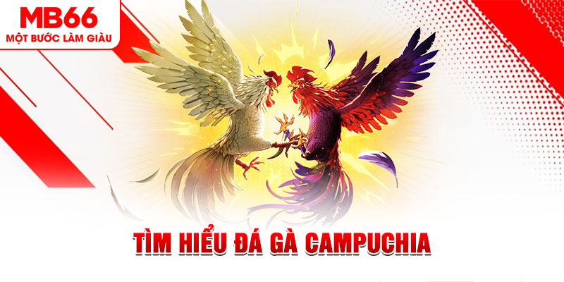 go88 live đá gà trực tiếp