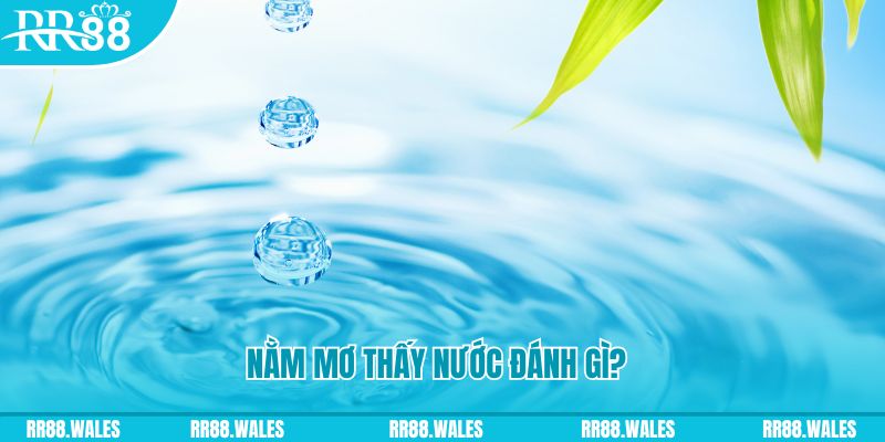 go88 live TP Bắn cá