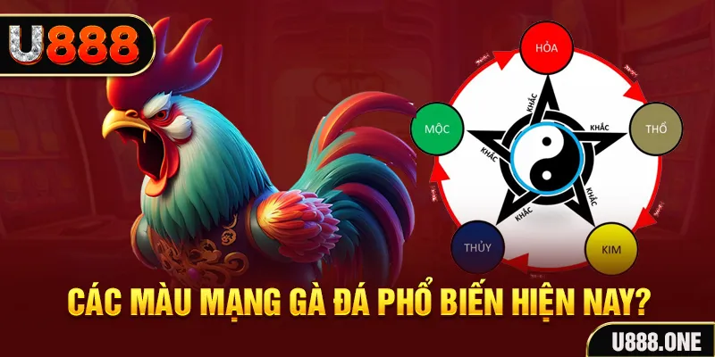 go88 live trực tiếp đá gà 88