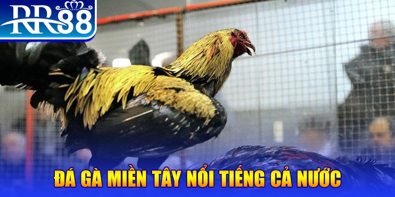 go88 live JILI Game Bài 3d