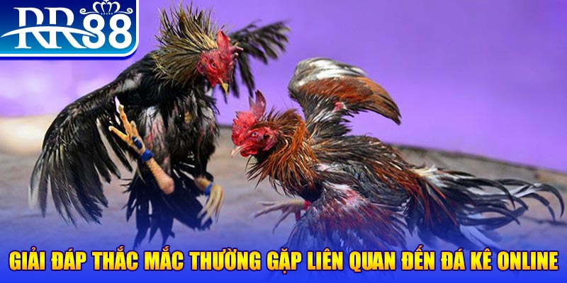 go88 live xổ số đà lạt