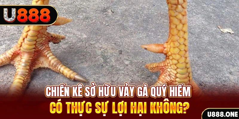 go88 live nohu .mx nổ hủ là gì