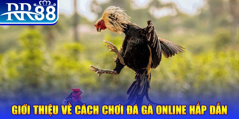 go88 live game nổ hũ rút tiền mặt là gì