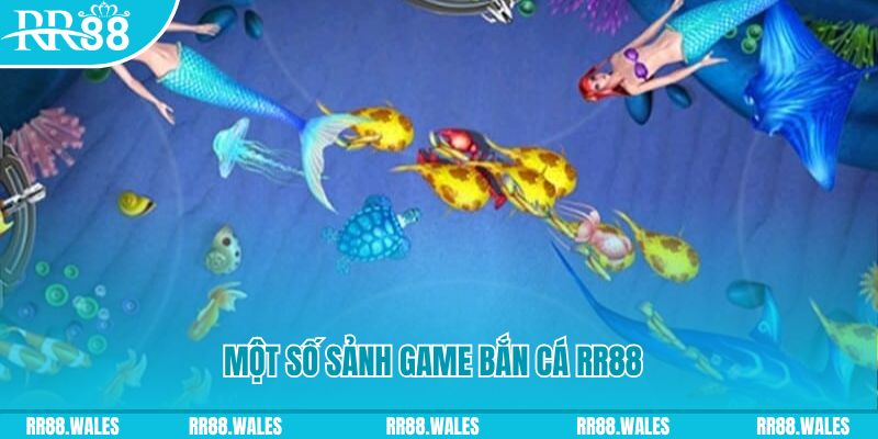 go88 live đăng nhập mậu binh uy tín