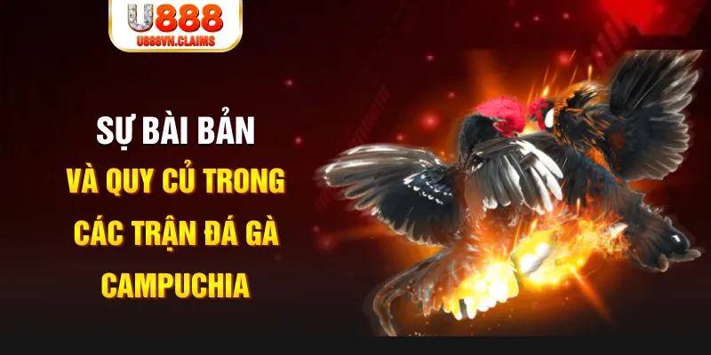 go88 live YGR Điện Tử