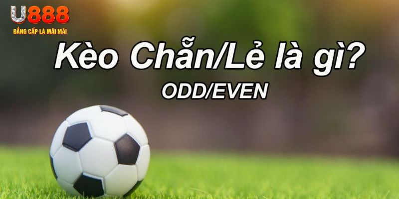 go88 live đăng nhập poker hôm nay