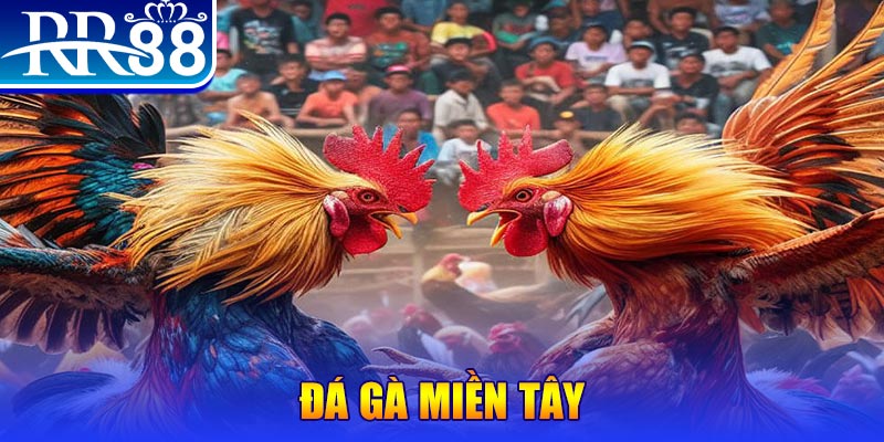 go88 live chơi slot là gì