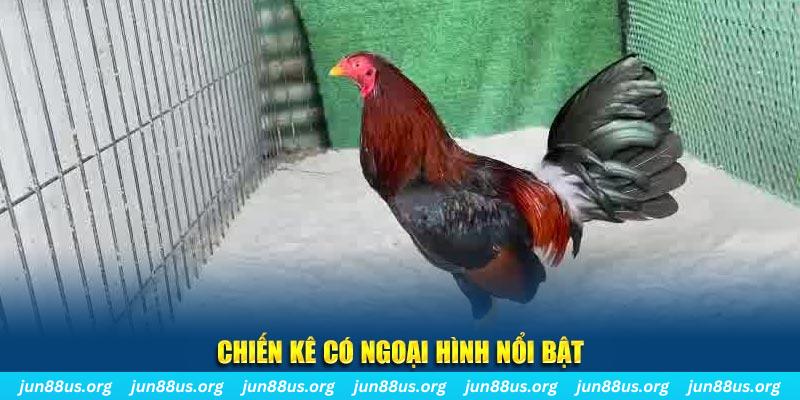 go88 live chạy quảng cáo cho game bài bị phạt như thế nào